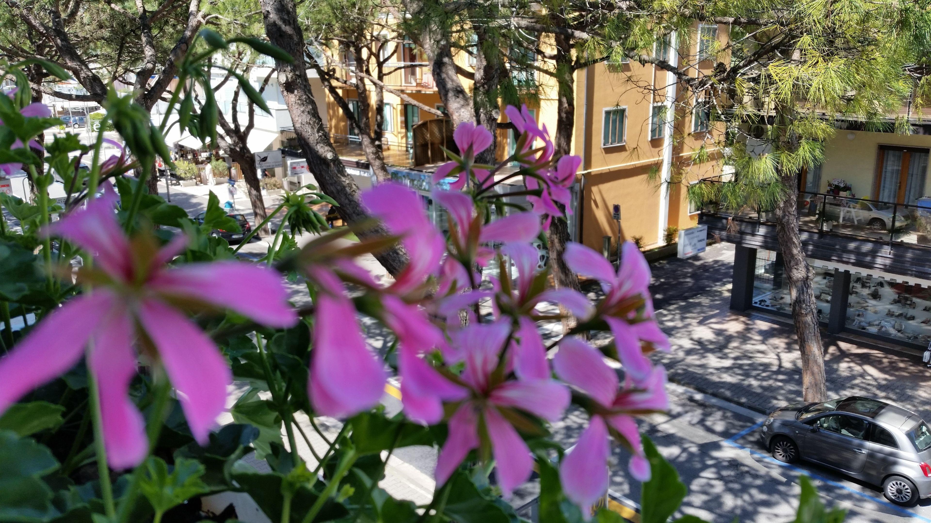 Danubio 3* Lido di Jesolo