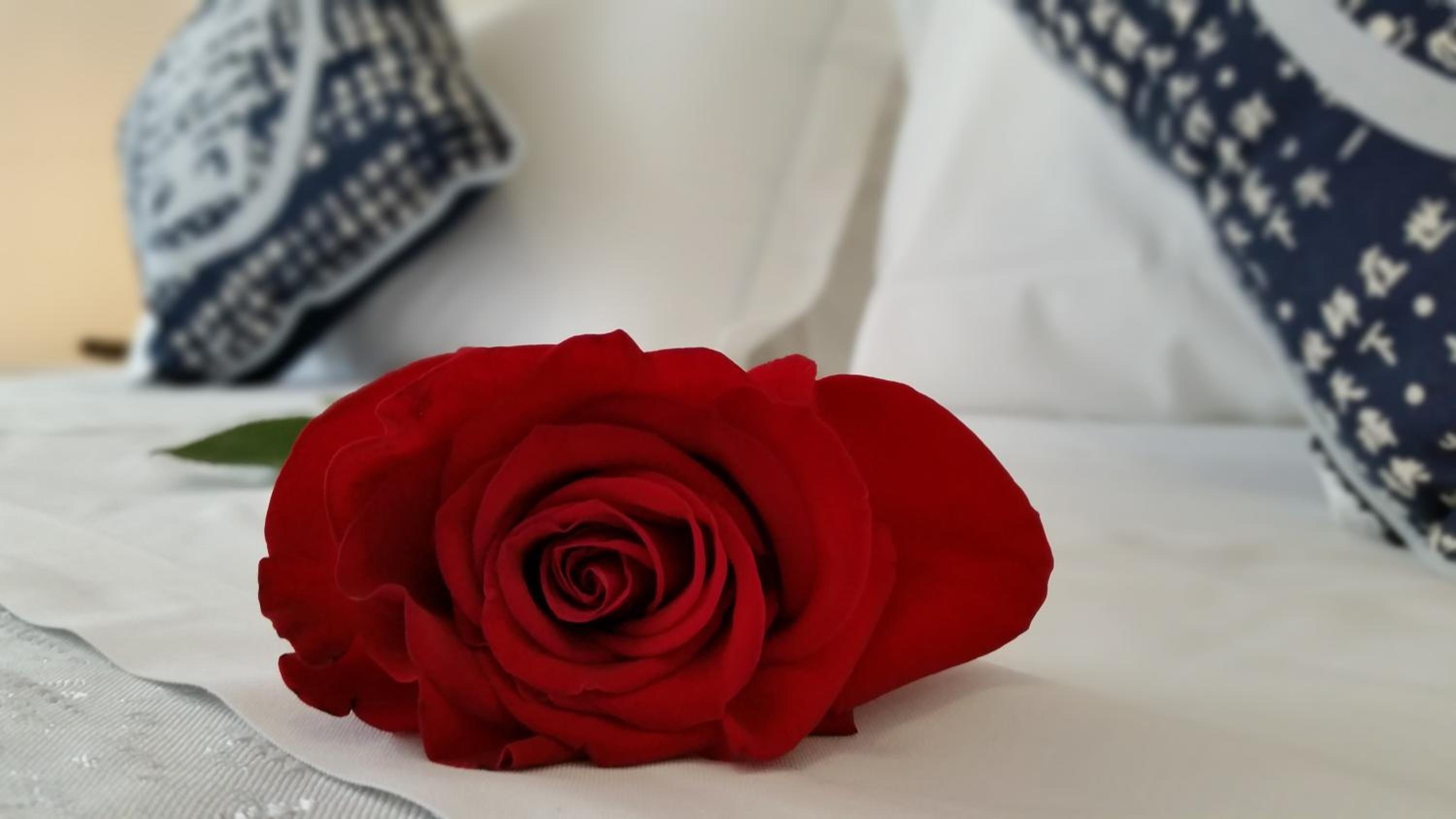 Danubio 3* Lido di Jesolo